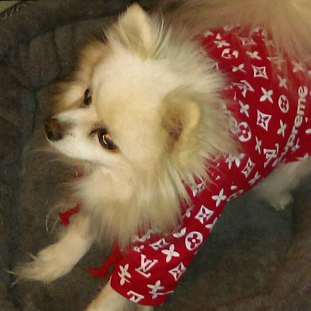 Meet your Posher, Patrick